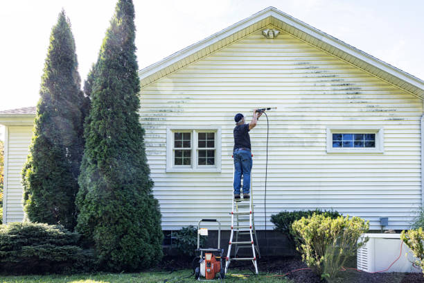 Best Solar Panel Cleaning  in Nicoma Park, OK